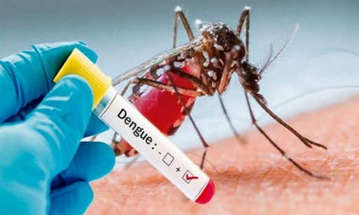 dengue