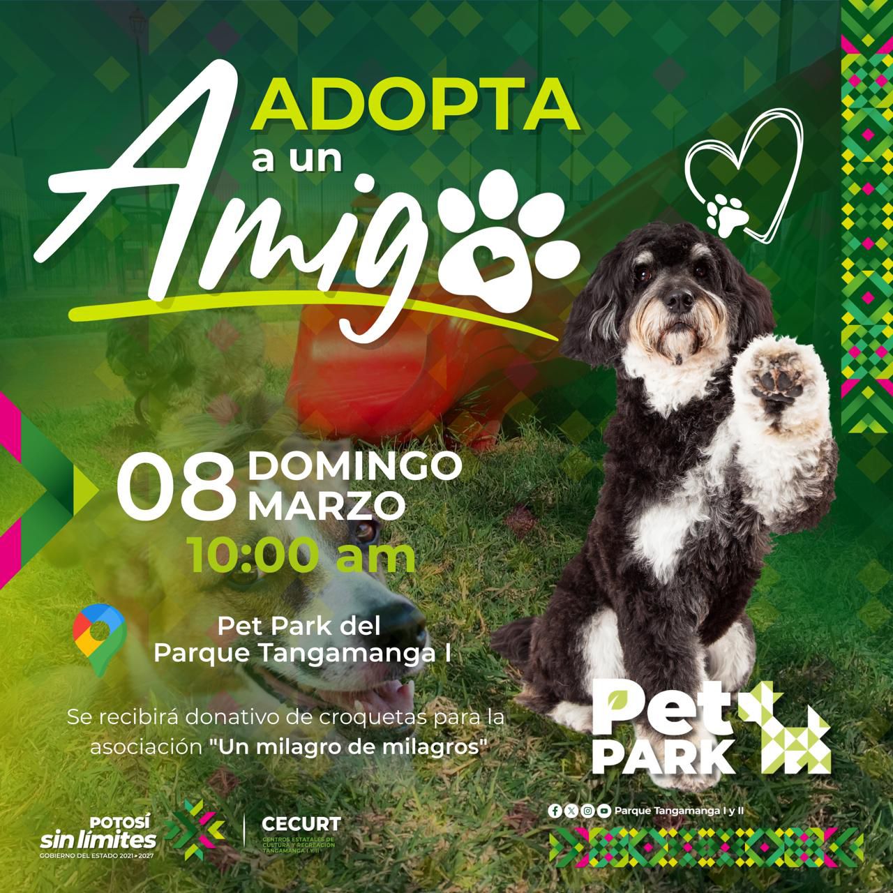 parque tangamanga bienestar animal