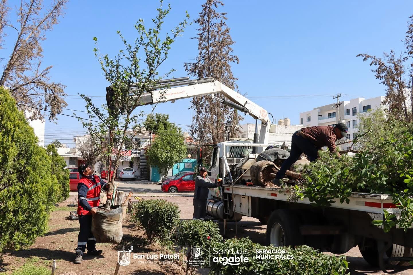 ayto. slp capital rehabilitacion jardin juan ruiz alarcon